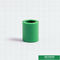 20 밀리미터는 의회를 위한 피프라 똑같결합에 OEM ODM을 장착하는 플라스틱 파이프를 녹색으로 만듭니다