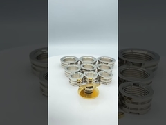 PPR 피팅 여성 황동 삽입 독일 디자인 라이터 유형