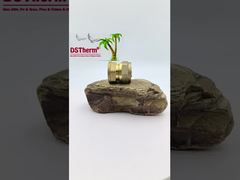 SS 튜브용 파이프라인 여성 커플링 PEX 황동 피팅